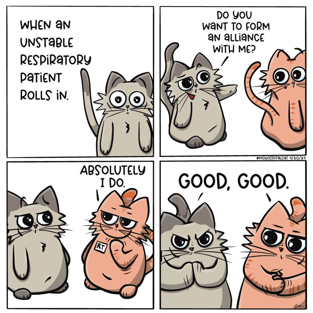 Caturday Comic
